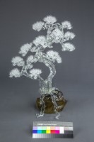 松柏長青藏品圖，第3張