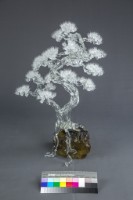 松柏長青藏品圖，第4張