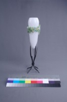 千花萬變I藏品圖，第2張