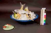 準備藏品圖，第1張