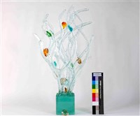 貝殼水珊瑚藏品圖，第1張