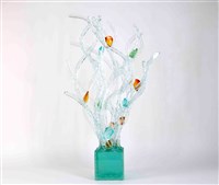 貝殼水珊瑚藏品圖，第2張