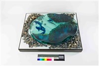 魚歡翠蓋藏品圖，第1張