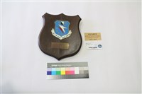 傑出貢獻獎牌藏品圖，第1張