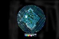 魚兒魚兒水中游藏品圖，第1張