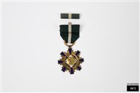 空軍楷模乙種二等獎章藏品圖，第1張