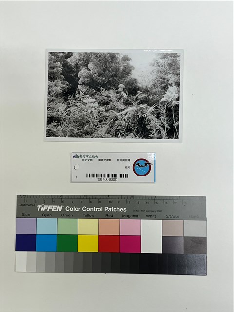 相片的圖片