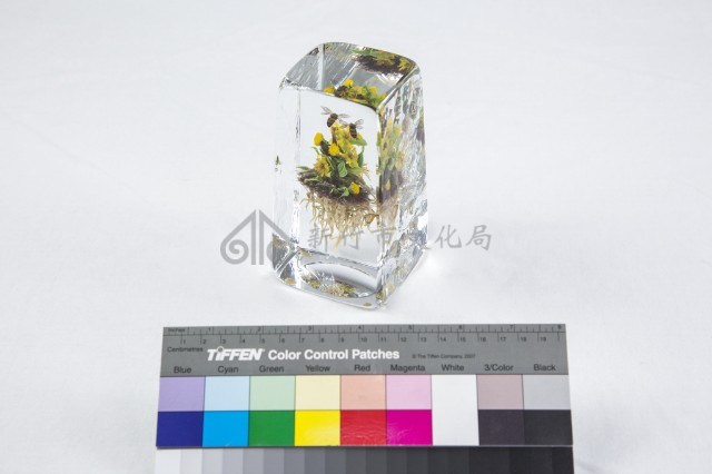 動植物世界藏品圖，第2張