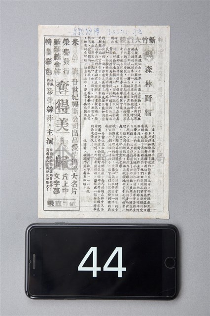 森林野貓藏品圖，第1張
