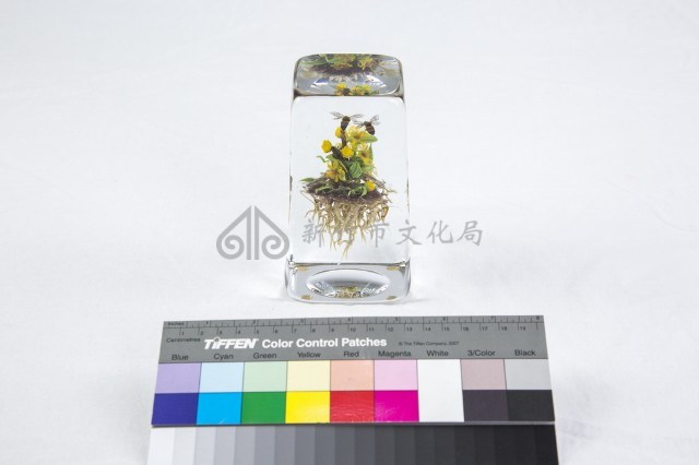 動植物世界藏品圖，第1張