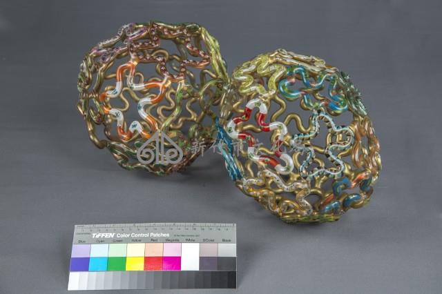 大腦的組織（美）藏品圖，第3張