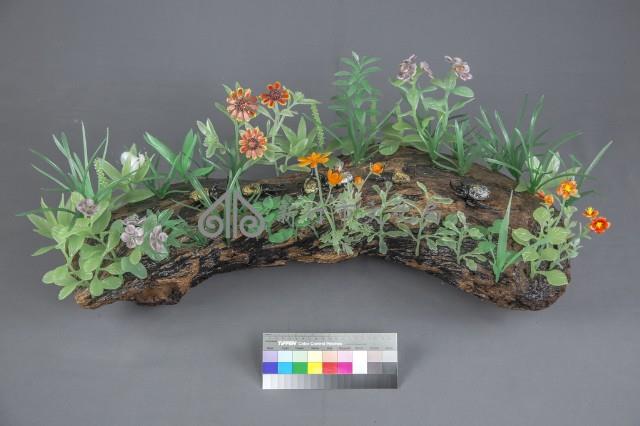 台灣新文化藏品圖，第3張