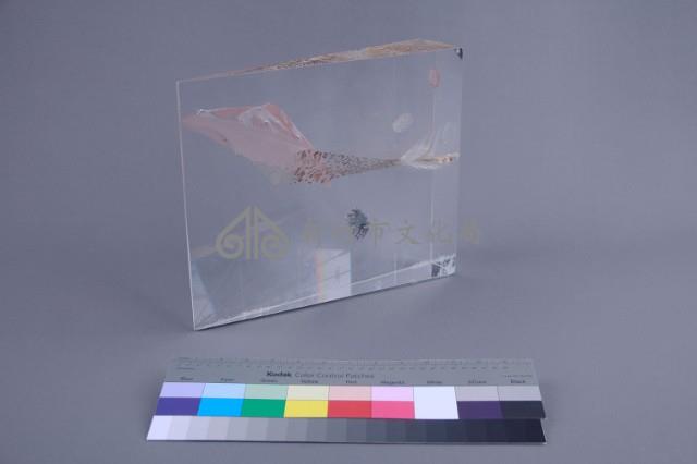 星球（法）藏品圖，第3張