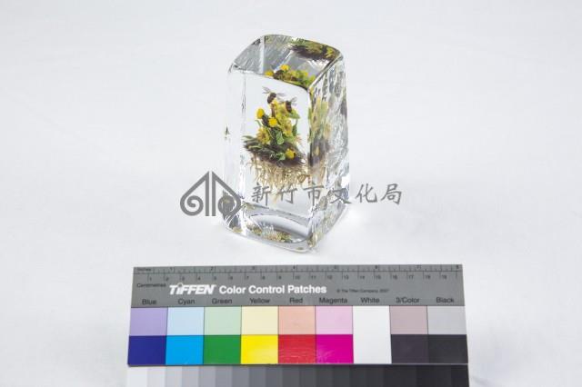 動植物世界藏品圖，第2張