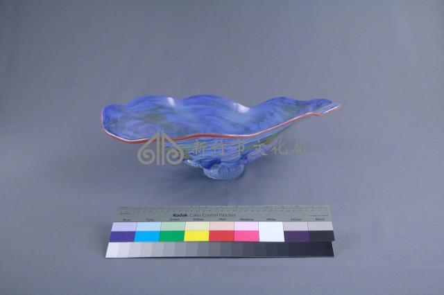 貝殼藏品圖，第3張