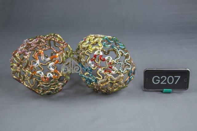 大腦的組織（美）藏品圖，第1張