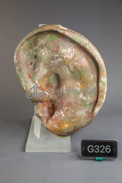 福耳藏品圖，第1張