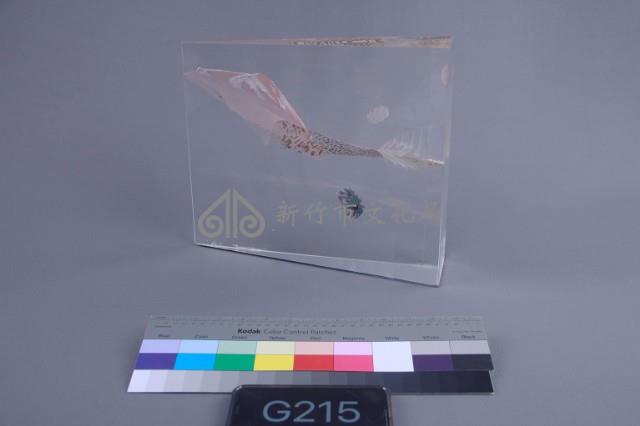 星球（法）藏品圖，第1張