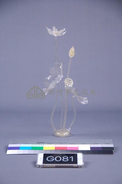 荷花藏品圖，第5張