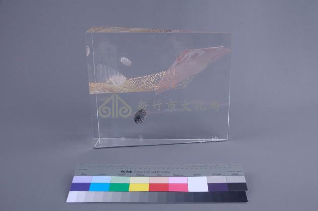 星球（法）藏品圖，第4張