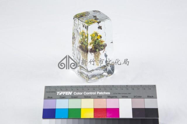 動植物世界藏品圖，第3張