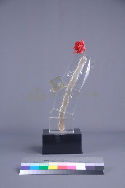 沐風藏品圖，第4張