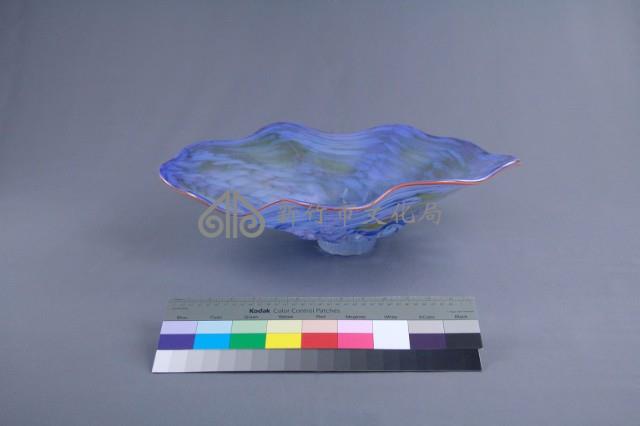 貝殼藏品圖，第4張