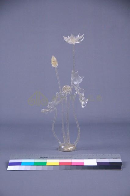 荷花藏品圖，第8張