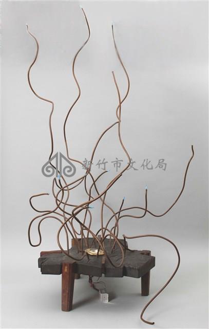 天堂鳥藏品圖，第4張