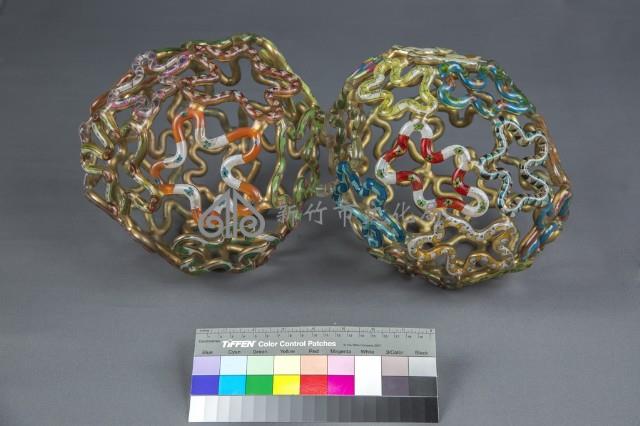 大腦的組織（美）藏品圖，第2張