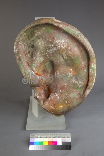 福耳藏品圖，第2張