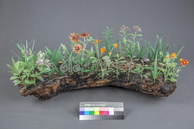 台灣新文化藏品圖，第2張