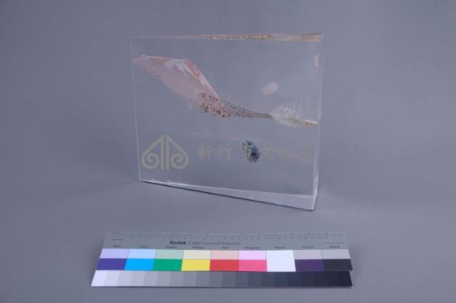 星球（法）藏品圖，第2張