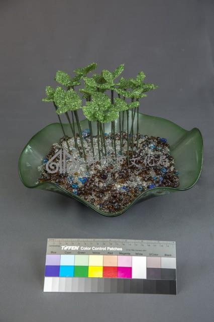 生機藏品圖，第1張