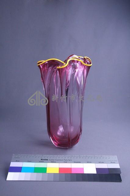 水母藏品圖，第2張