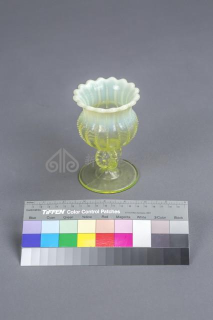 含水的仙人掌藏品圖，第1張