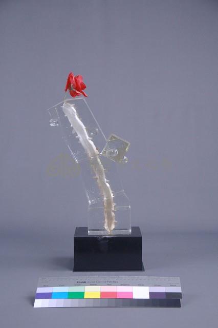 沐風藏品圖，第2張