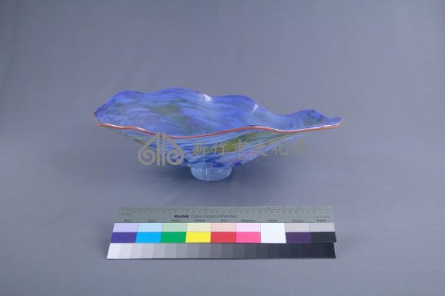 貝殼藏品圖，第2張