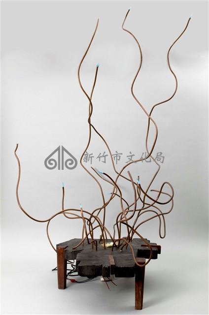 天堂鳥藏品圖，第2張