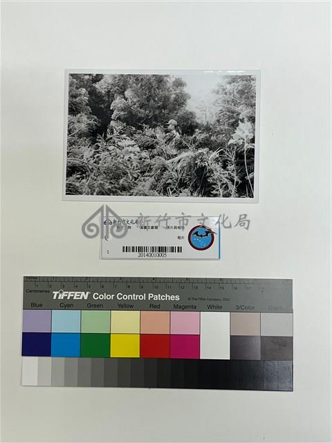 相片藏品圖，第1張