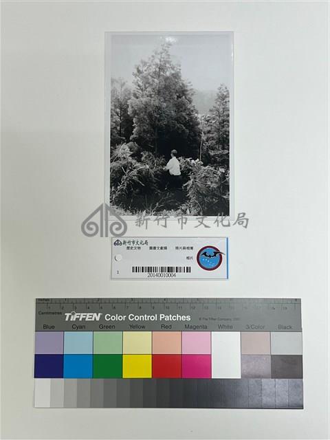 相片藏品圖，第1張