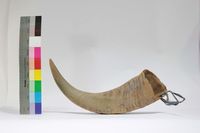 水牛角藏品圖，第1張