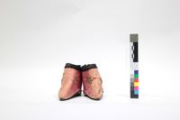 三寸金蓮藏品圖，第1張