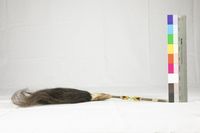 拂塵藏品圖，第1張