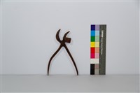 鳥嘴鉗藏品圖，第1張