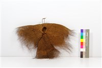 簑衣藏品圖，第1張