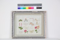 日本刺繡基礎樣本藏品圖，第1張