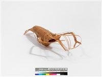 竹編螯蝦藏品圖，第5張