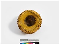 圓型松傘壺 藏品圖，第7張