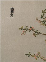 斑錦彪藏品圖，第7張